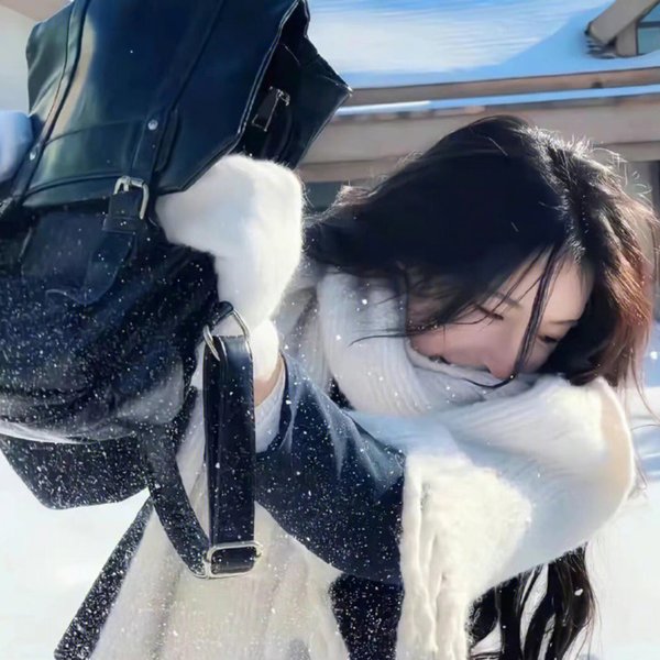 御用闲人粤语